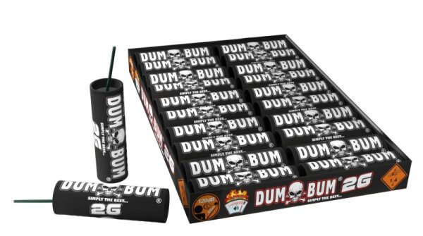 DumBum 2G+ P1 (Batch 2026)