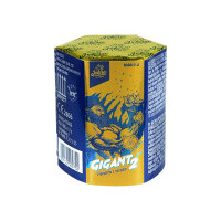 Gigant  2