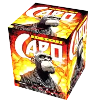 Capo